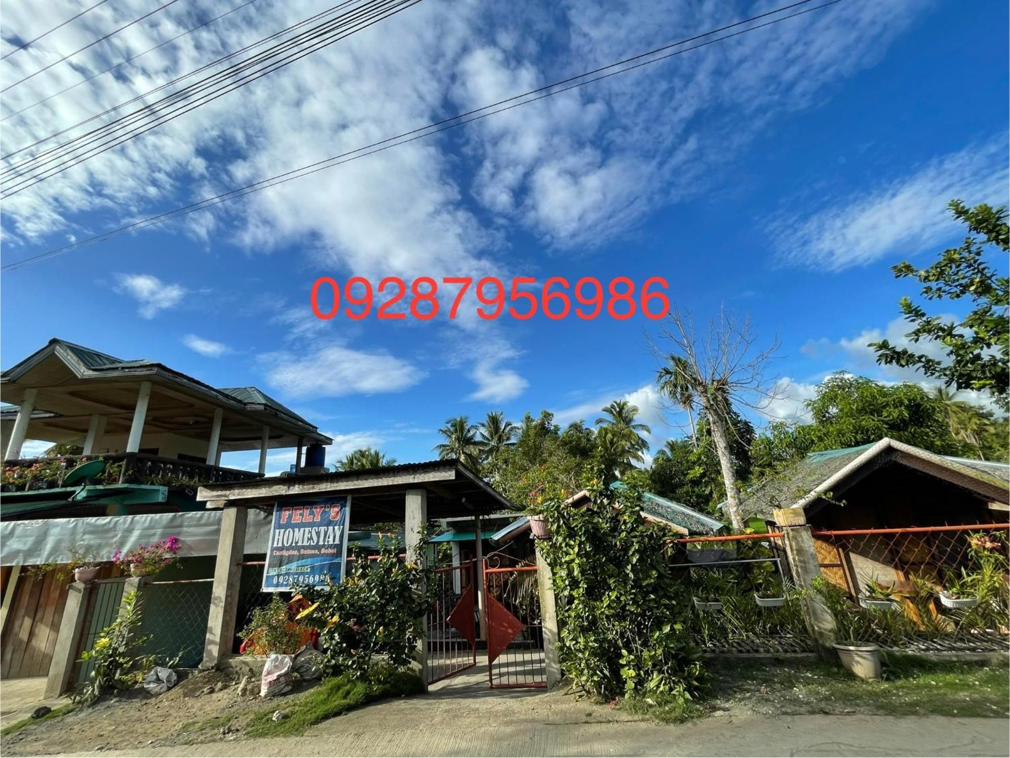 Fely'S Homestay Batuan Экстерьер фото